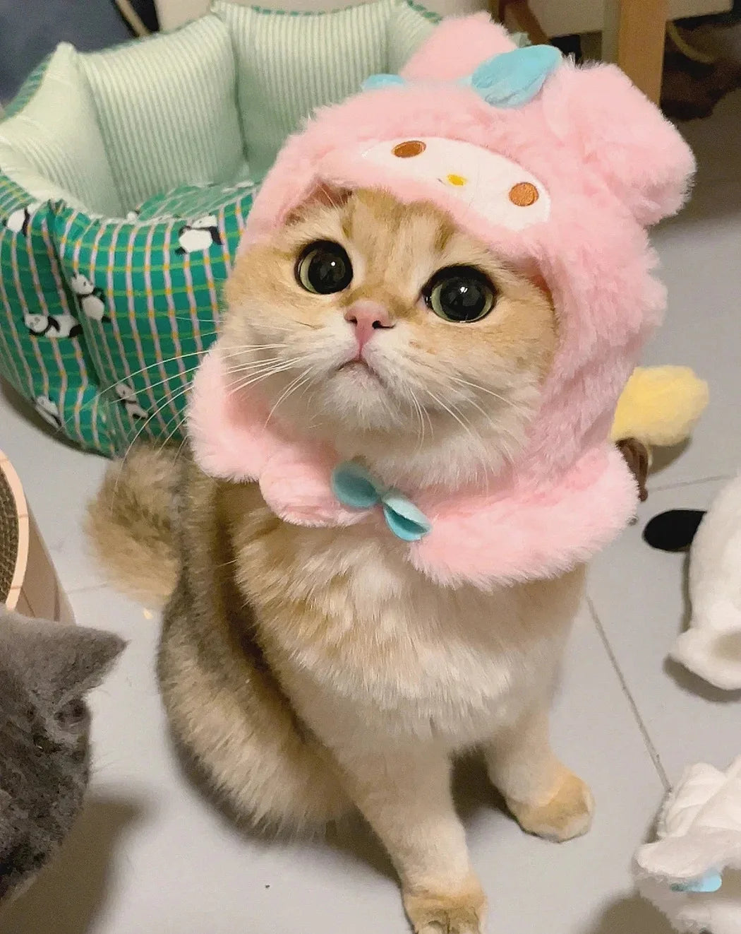 Cat Cute Cartoon Decorative Funny Cat Headwear Cat Dog Hat Headgear Pet Cute Funny Artifact Warm Plush Pet Hat Pet Photo Props